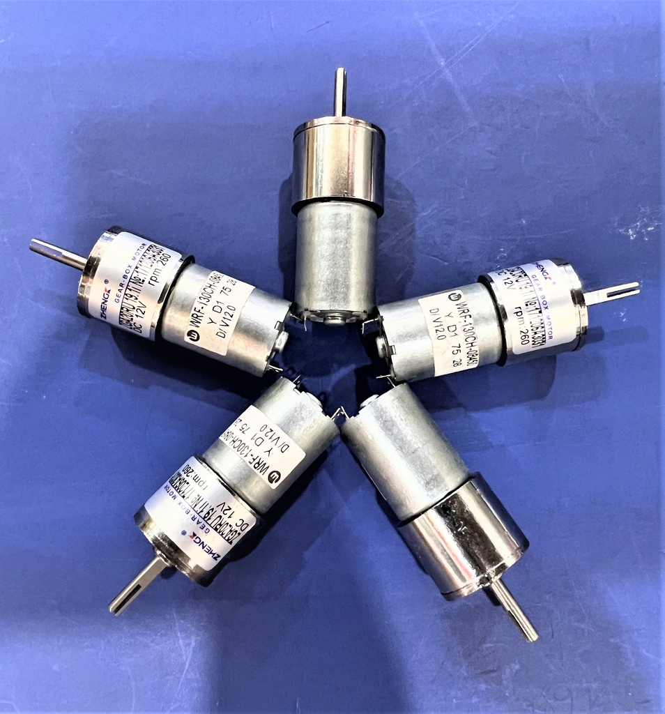 ĐỘNG CƠ GIẢM TỐC 12V 260RPM MINI - Ảnh 3